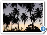 Tobago, W.I.
